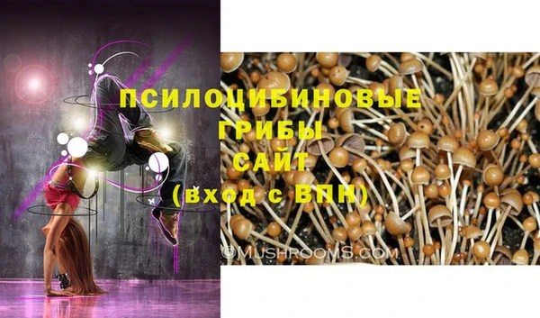 кристаллы Алексин
