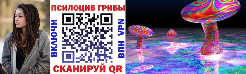 Псилоцибиновые грибы Psilocybe  закладки  Железногорск-Илимский 
